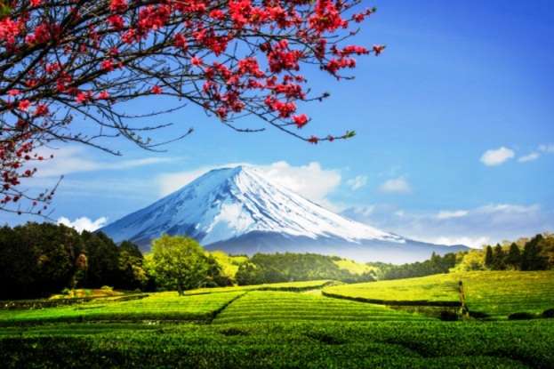 Mount-Fuji-of-Japan