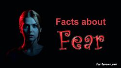 Facts-about-fear